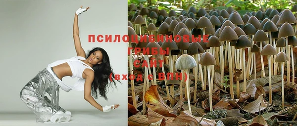 спиды Навашино